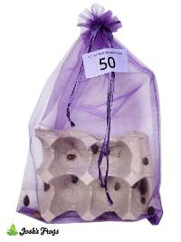 1/2" - 3/4" Medium Dubia Roaches (50 count)