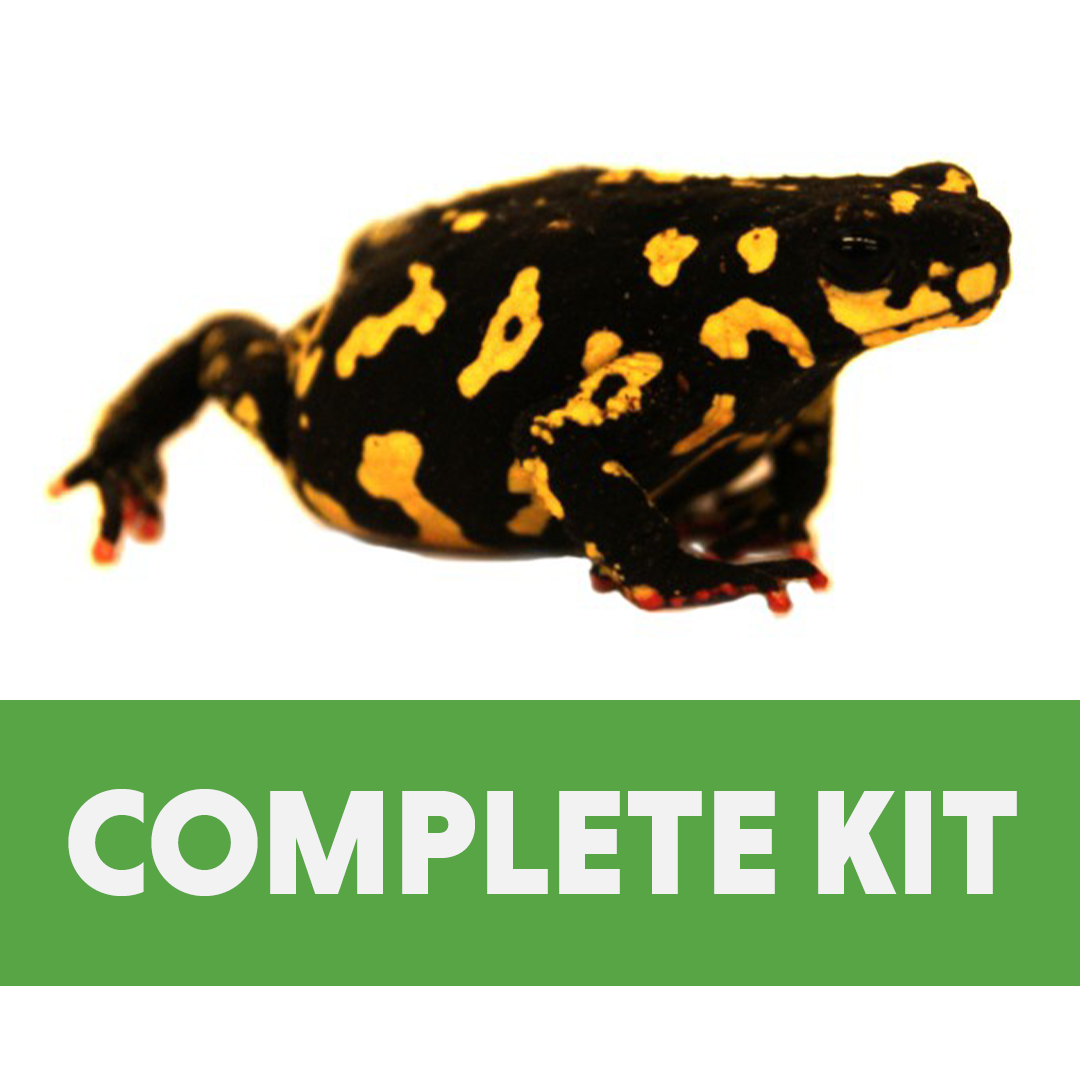 Bumble Bee Toad Complete Habitat Kit (18x18x12)