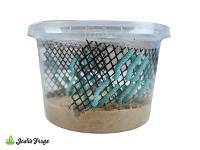 Hornworm Habitat Cup (25 count cup)