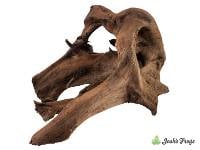Malaysian Driftwood (Large)
