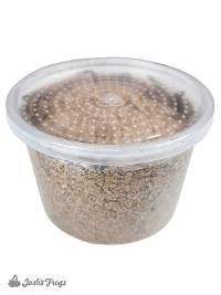 Superworms (100 count)