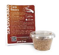 Superworms (25 Count)
