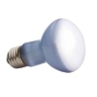 Basking Bulbs/Heat Producing Lighting