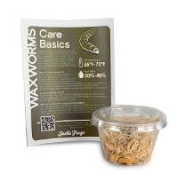 Waxworms (25 count)
