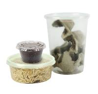 Yellow-Spotted Climbing Toad Feeder Bundle